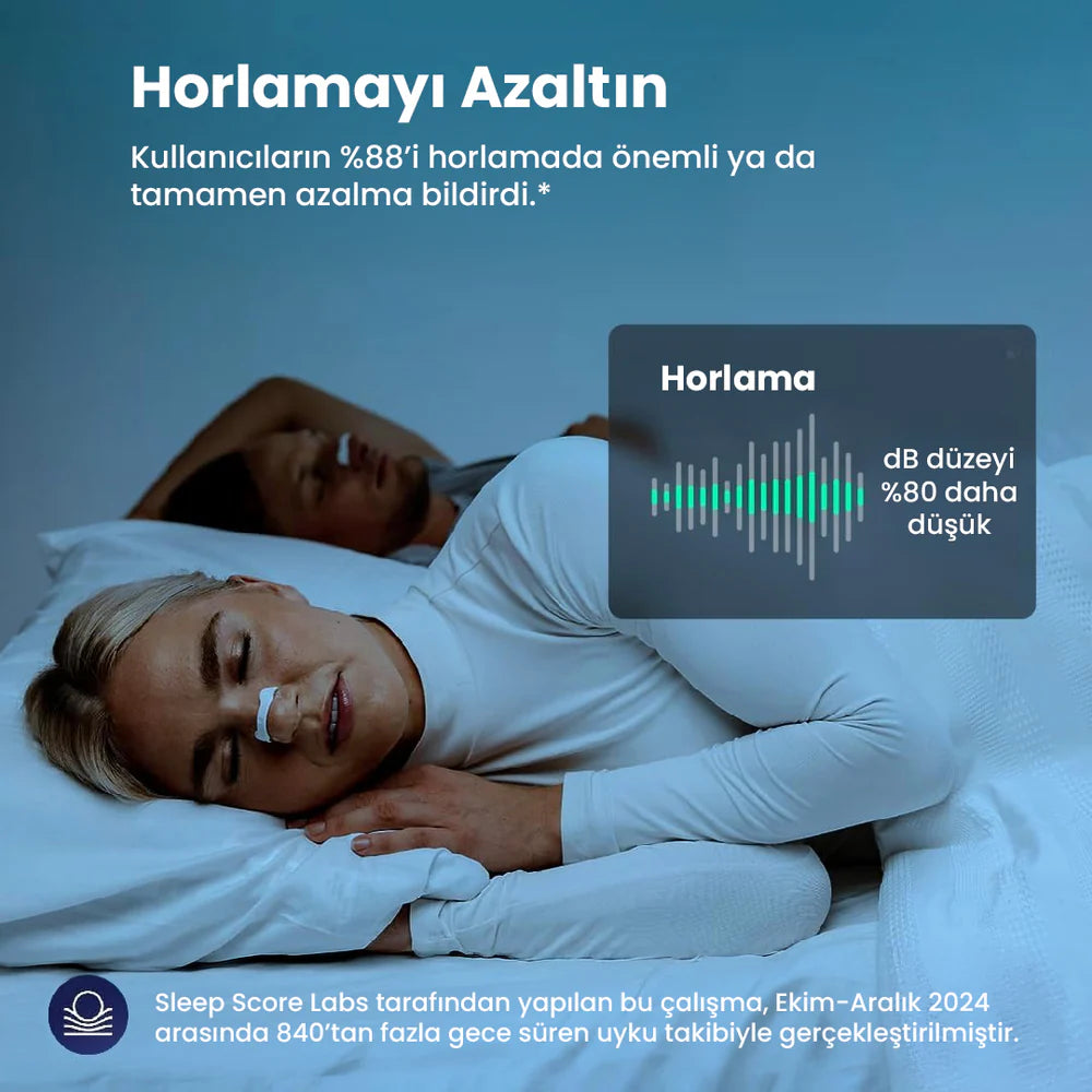 Feranes®-Mıknatıslı Bant